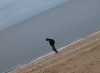 2012 - Fatal-1.jpg